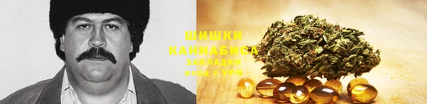 спайс Алексин