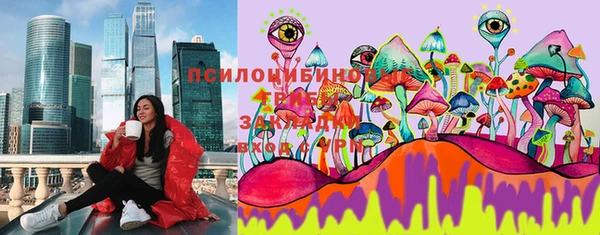 спайс Алексин
