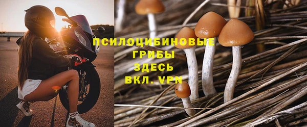 гидропоника Алексеевка