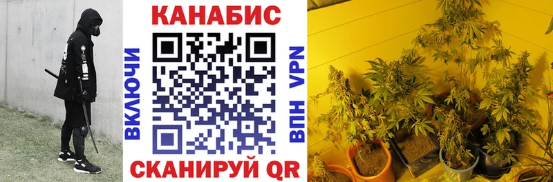 Марихуана OG Kush  Воткинск 